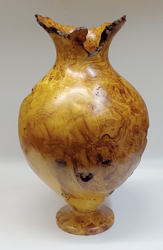 JW-203 Aspen Burl Hollowed Vessel 17x10 $1000 at Hunter Wolff Gallery